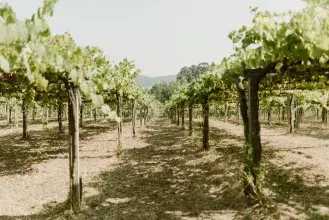 pazo-cilleiro-fotografia-corporativa-marina-palacios-2