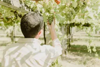 pazo-cilleiro-fotografia-corporativa-marina-palacios-3