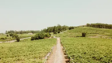 pazo-cilleiro-fotografia-corporativa-marina-palacios