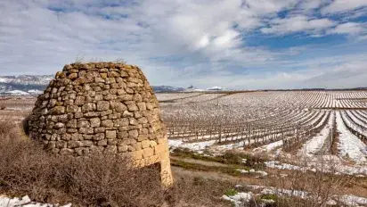 Why did wine succeed in Rioja Alavesa?