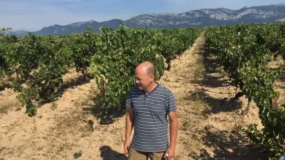 "The flavour of Rioja Alavesa is right in El Gallo vineyard"