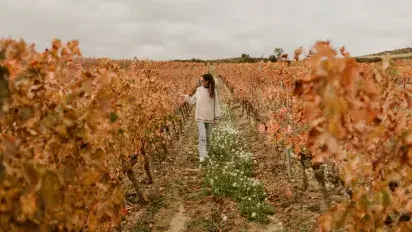 enoturismo-vinedo-bodegas-luis-alegre