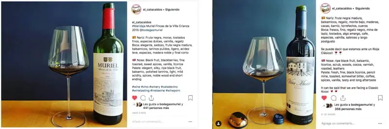 Market and wine critics celebrate our brands