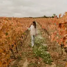 enoturismo-vinedo-bodegas-luis-alegre