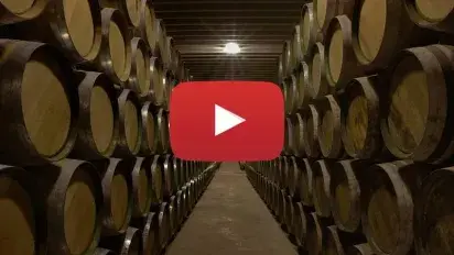 Los videos de Muriel Wines