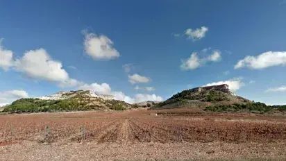 Valdecuriel: nuestra nueva bodega en Ribera del Duero