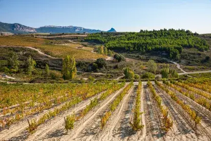 La Reñana vista hacia el este