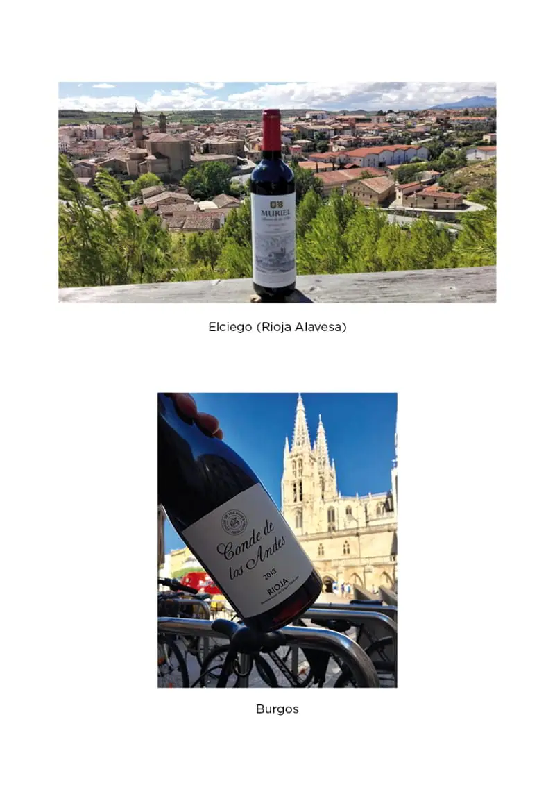 Our wines travel the world