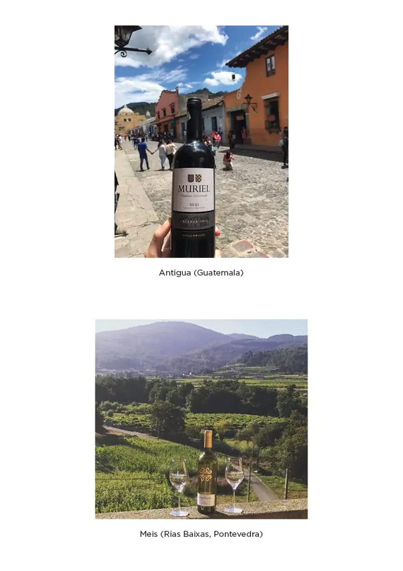 Our wines travel the world