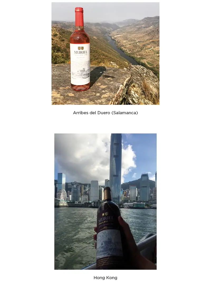 Our wines travel the world