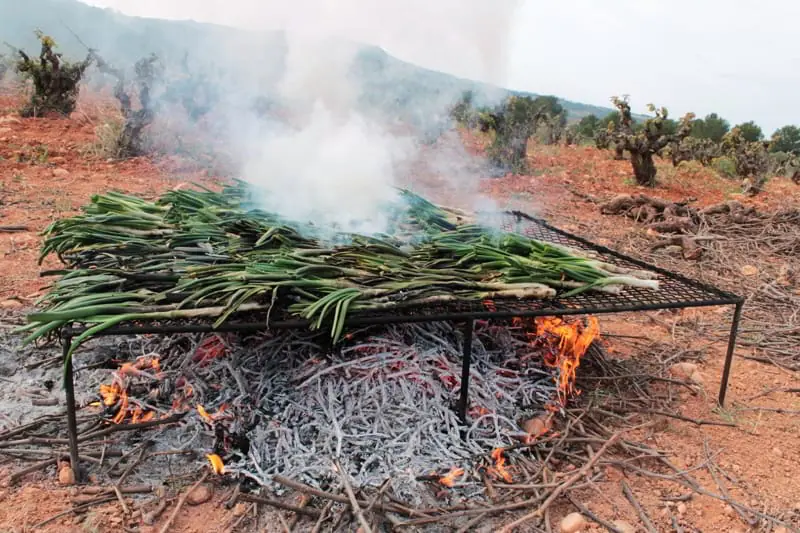 Cooking with vine shoots