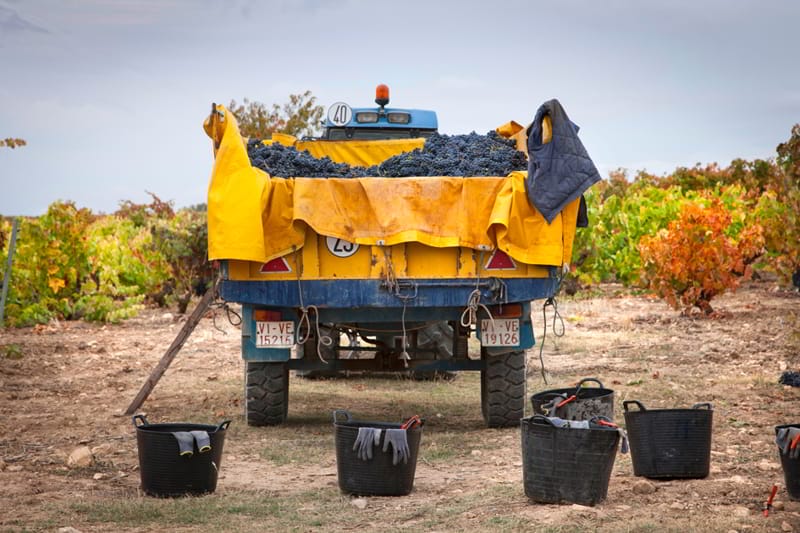 Ready for harvest 2018