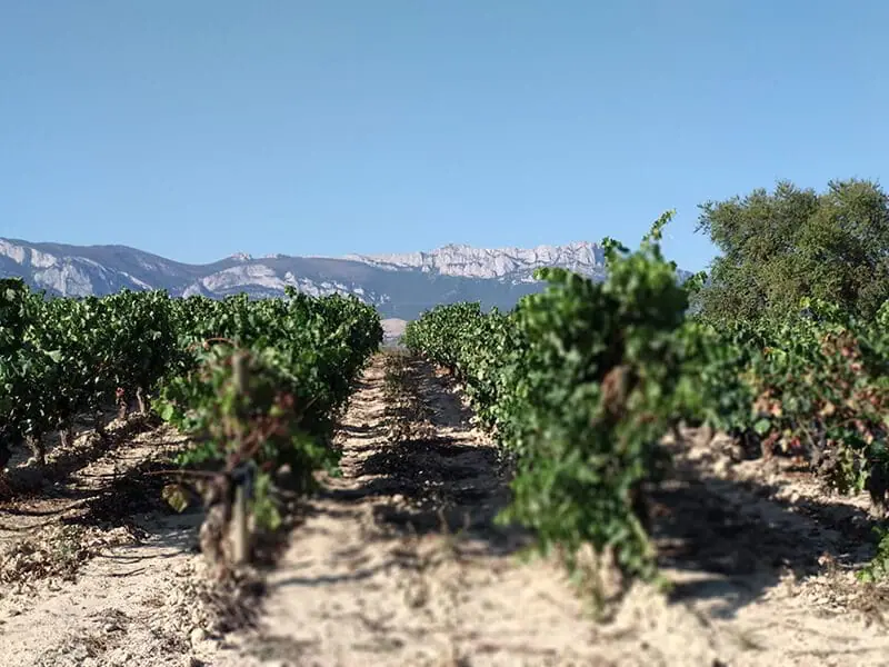 Casa de Eguía, part of our landscape