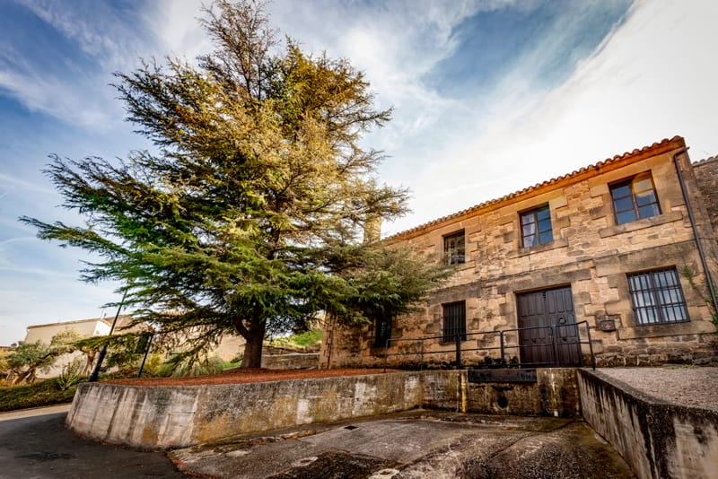 Unique Wine Tourism at Conde de los Andes