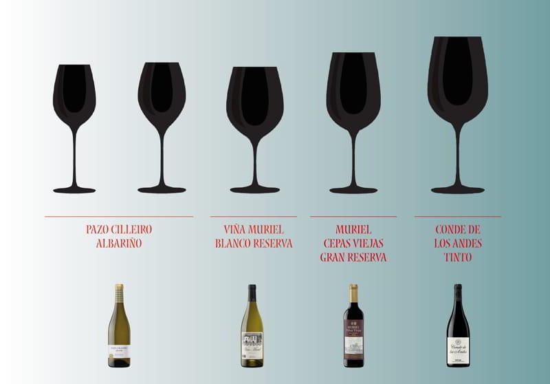 Which glass should we choose for our wines?